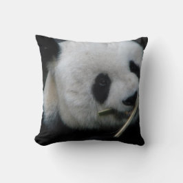 Panda Kissen
