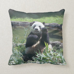 Panda-Kissen Kissen
