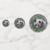 Panda Konfetti (Rückseiten)
