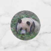 Panda Konfetti (Klein Vorderseite)