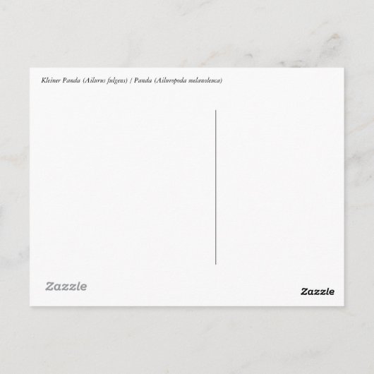 Panda-Kontaktkarte Postkarte (Rückseite)