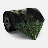 Panda Krawatte (Gerollt)