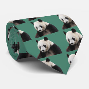 Panda Krawatte