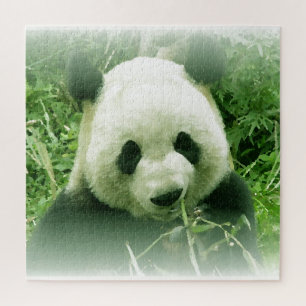 Panda - Kunst für Tiere Puzzle