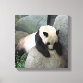 Panda-Leinwand Leinwanddruck