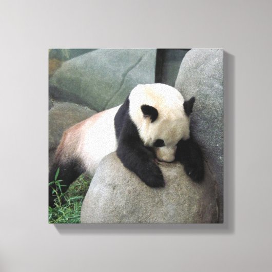 Panda-Leinwand Leinwanddruck (Vorderseite)