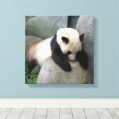 Panda-Leinwand Leinwanddruck (Insitu (Holzboden))