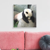 Panda-Leinwand Leinwanddruck (Insitu (Wohnzimmer))