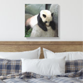 Panda-Leinwand Leinwanddruck (Insitu (Schlafzimmer))