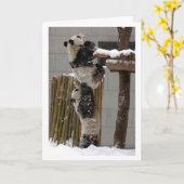 Panda Lift Karte (Gelbe Blume)