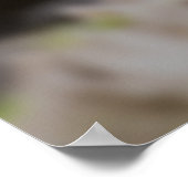 Panda Lunch Poster (Ecke)