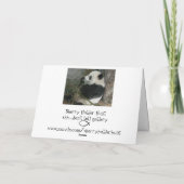 Panda, Lust zum Mittagessen? Karte? Karte (Rückseite)