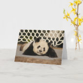 Panda M010 Karte (Gelbe Blume)