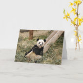 Panda M01 Karte (Gelbe Blume)