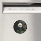 Panda Magnet (In Situ (Geschirrspüler))