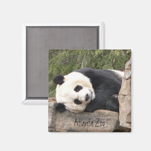 Panda Magnet (Vorderseite/Rückseite)