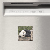 Panda Magnet (In Situ (Geschirrspüler))