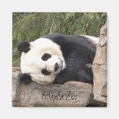 Panda Magnet (Vorne)