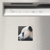 Panda Magnet (In Situ (Geschirrspüler))