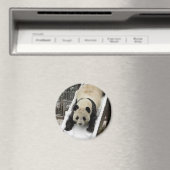 Panda-Magnet Magnet (In Situ (Geschirrspüler))