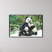 Panda mit Kneipen umwickelt Leinwanddruck (Vorderseite)