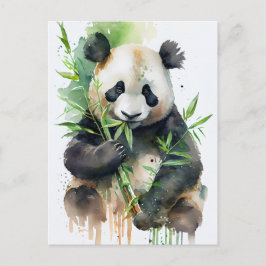 Panda mit schwarz-weißem Fell. Postkarte