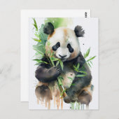 Panda mit schwarz-weißem Fell. Postkarte (Vorne/Hinten)