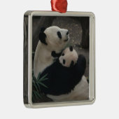 Panda Momma und Baby Silbernes Ornament (Rechts)
