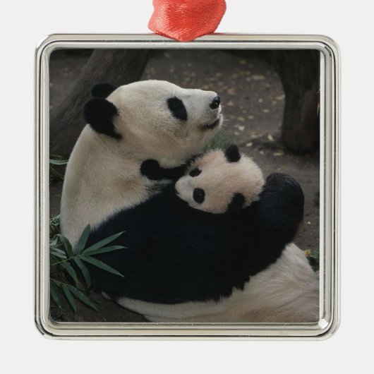 Panda Momma und Baby Silbernes Ornament (Vorne)