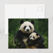 Panda Mother & Cub in Gentle Rain Postkarte (Vorne/Hinten)