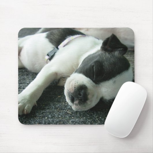 Panda Mousepad (Mit Mouse)