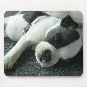 Panda Mousepad
