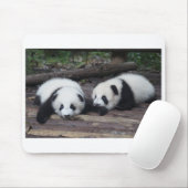Panda Mousepad (Mit Mouse)