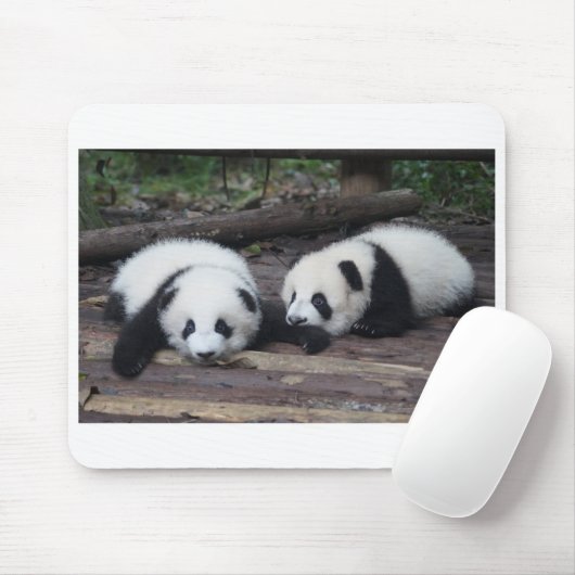 Panda Mousepad (Mit Mouse)