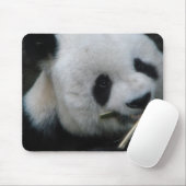 Panda Mousepad (Mit Mouse)