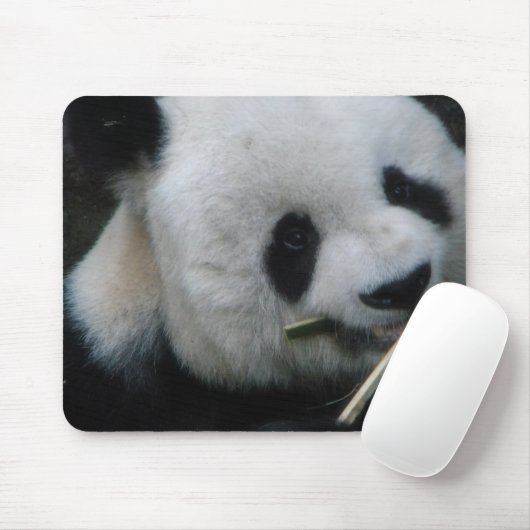 Panda Mousepad (Mit Mouse)