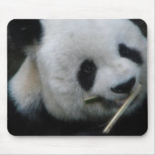 Panda Mousepad (Vorne)
