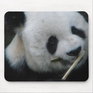 Panda Mousepad
