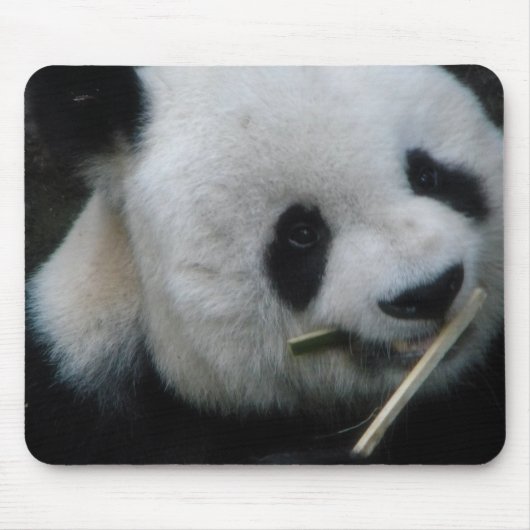 Panda Mousepad (Vorne)