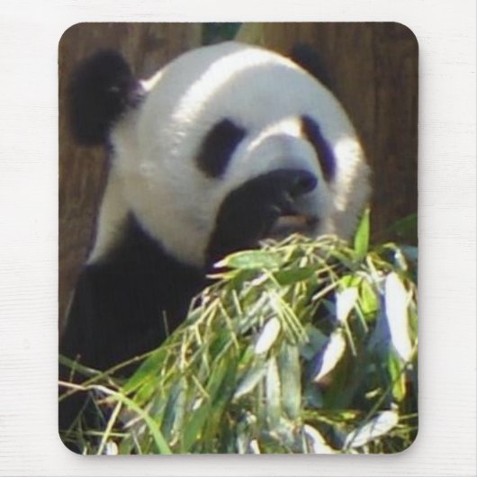 Panda Mousepad (Vorne)