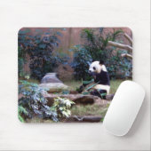 Panda Mousepad (Mit Mouse)