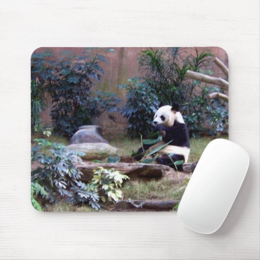 Panda Mousepad (Mit Mouse)