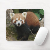 Panda Mousepad (Mit Mouse)