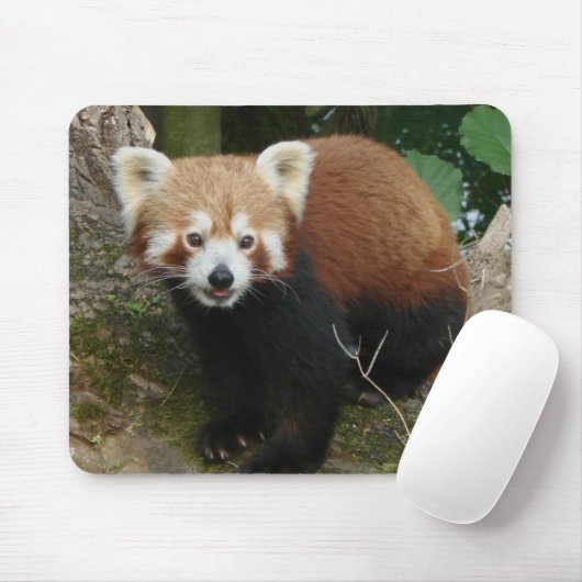 Panda Mousepad (Mit Mouse)