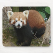 Panda Mousepad (Vorne)