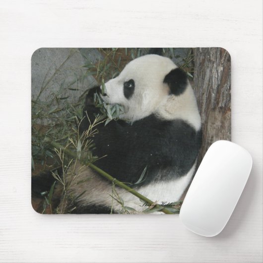 Panda mousepad (Mit Mouse)