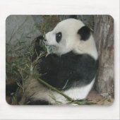 Panda mousepad (Vorne)