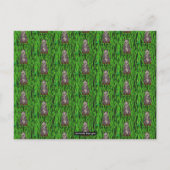 Panda (Muster) - Postkarte (Vorderseite)