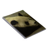 Panda Notebook Notizblock (Rechte Seite)