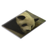 Panda Notebook Notizblock (Linke Seite)